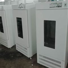 SPJ-250数显恒温生化培养箱